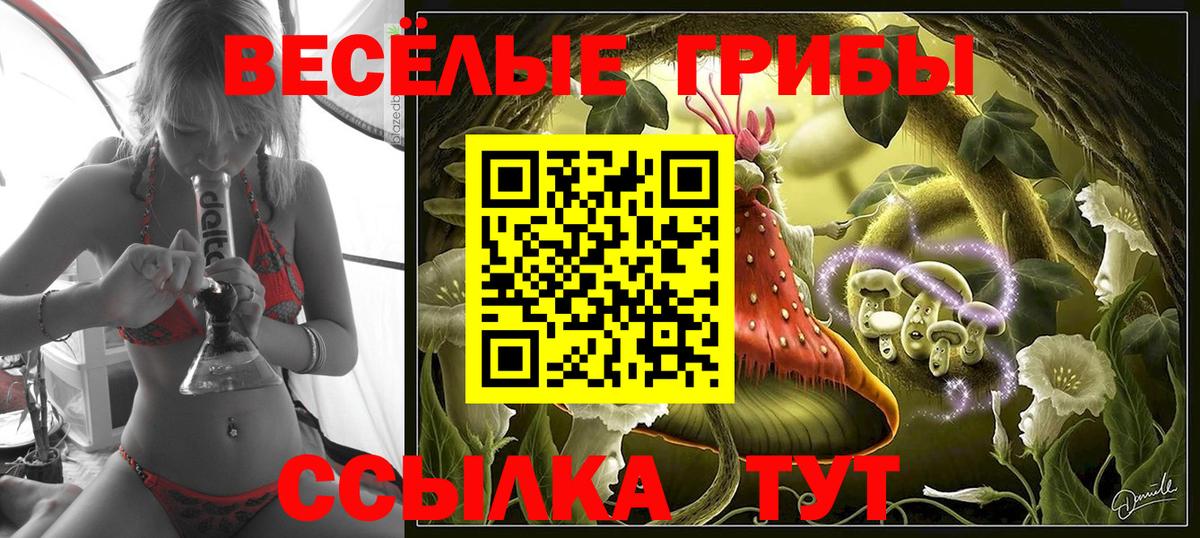 Галлюциногенные грибы Magic Shrooms  Галлюциногенные грибы GOLDEN TEACHER  Вход с VPN  Полевской 