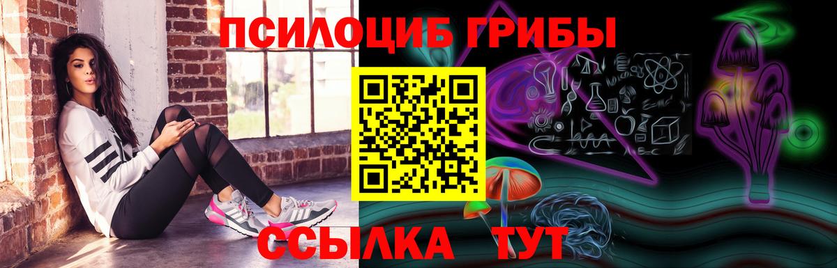 Псилоцибиновые грибы ЛСД Полевской